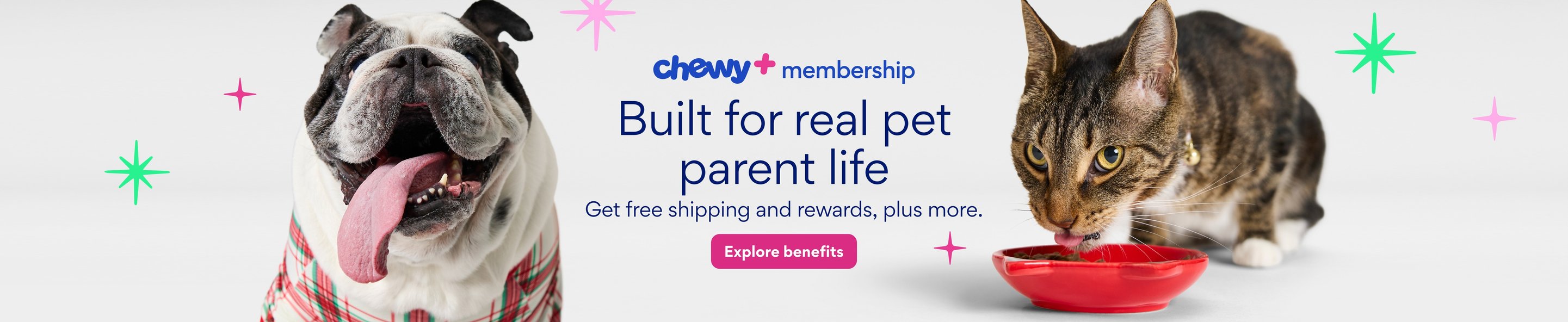 Save on everything your pet needs