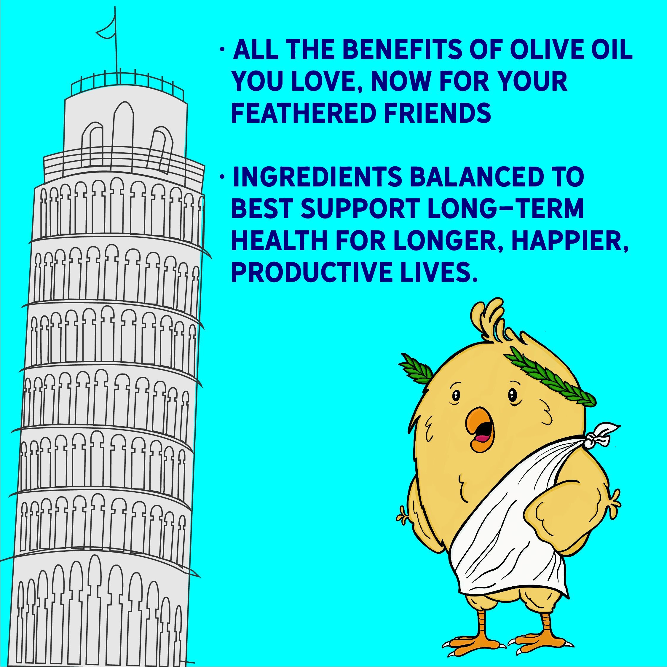 New Country Organics Organic Olive Oil Grower Broiler Chicken Feed, 40-lb bag