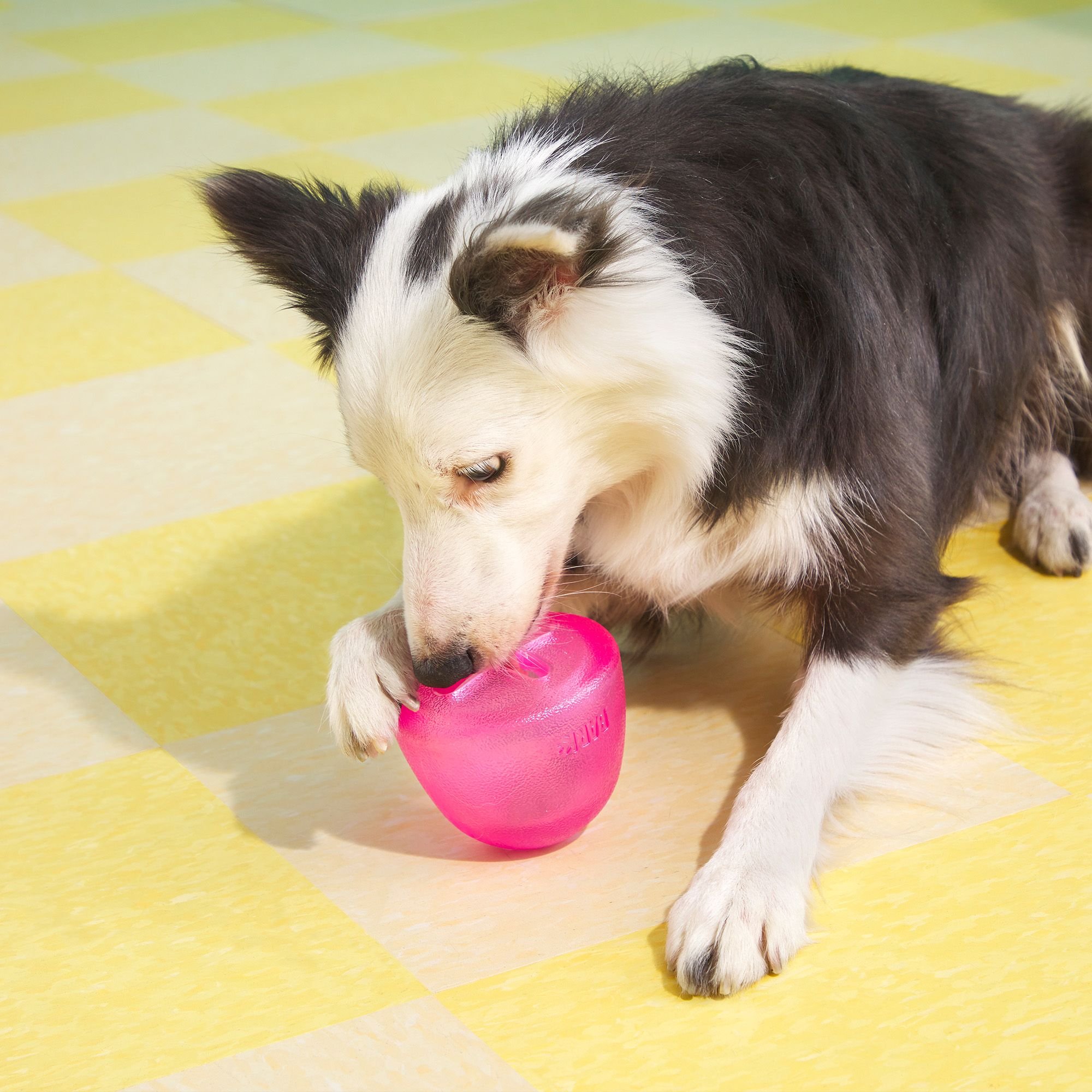 BARK Super Chewer Treats n' Sweets Gumdrop Tough Treat Dispensing Dog Toy, Pink, Small