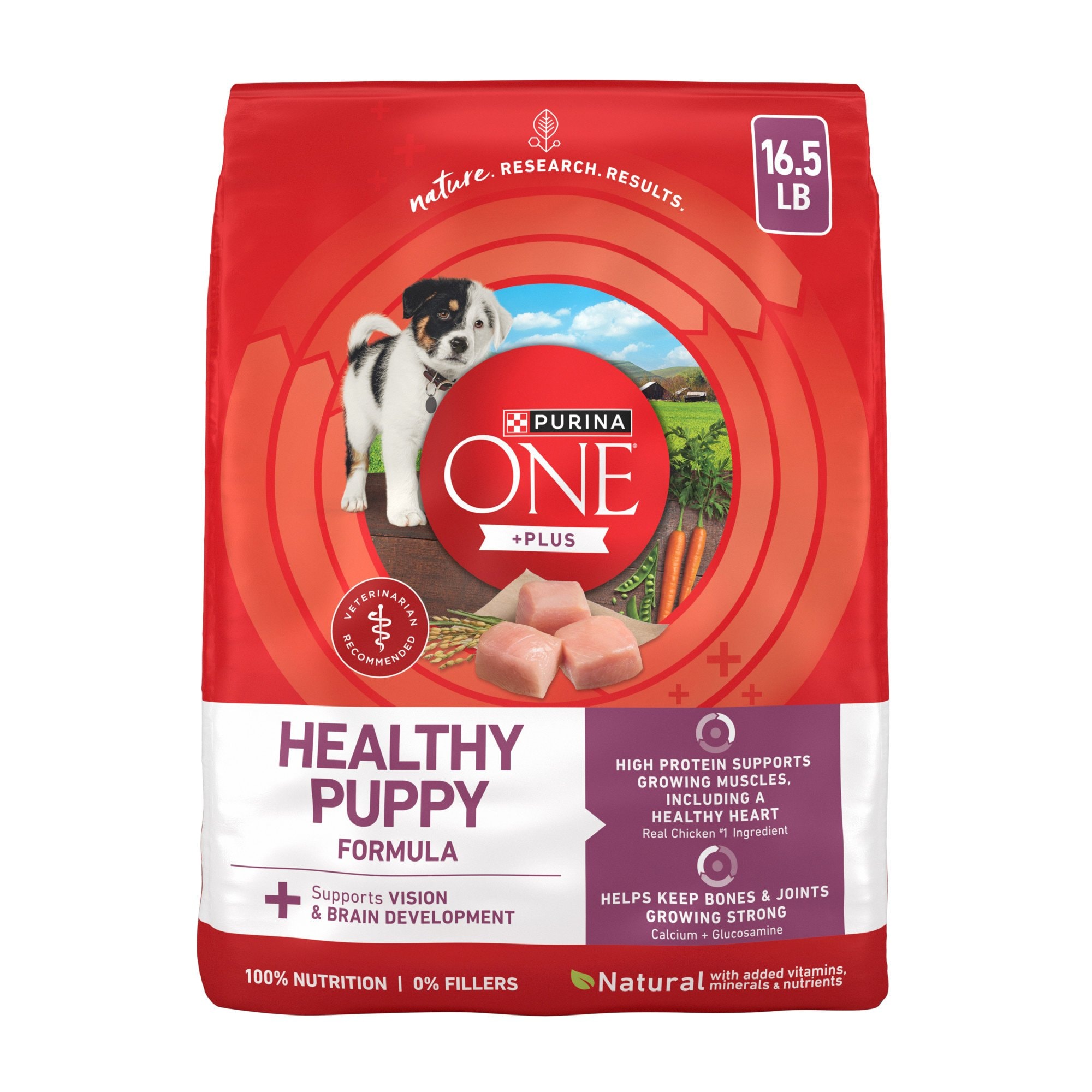 Purina ONE Plus Natural High Protein Healthy Puppy Chicken Formula Dry Puppy Food, 16.5-lb bag