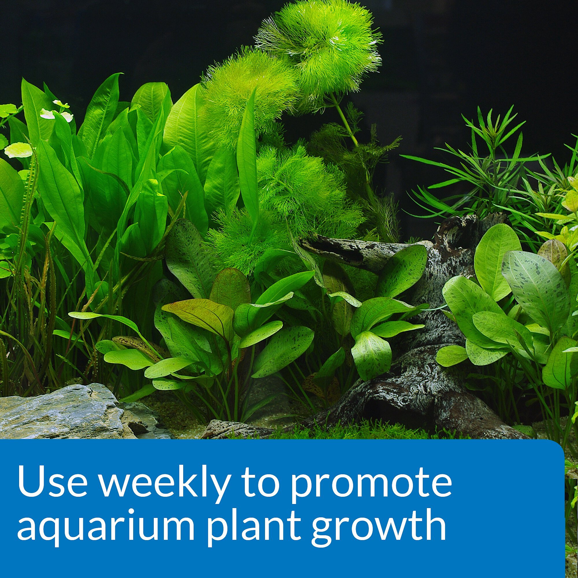 API Leaf Zone Freshwater Aquarium Plant Fertilizer, 16-oz bottle