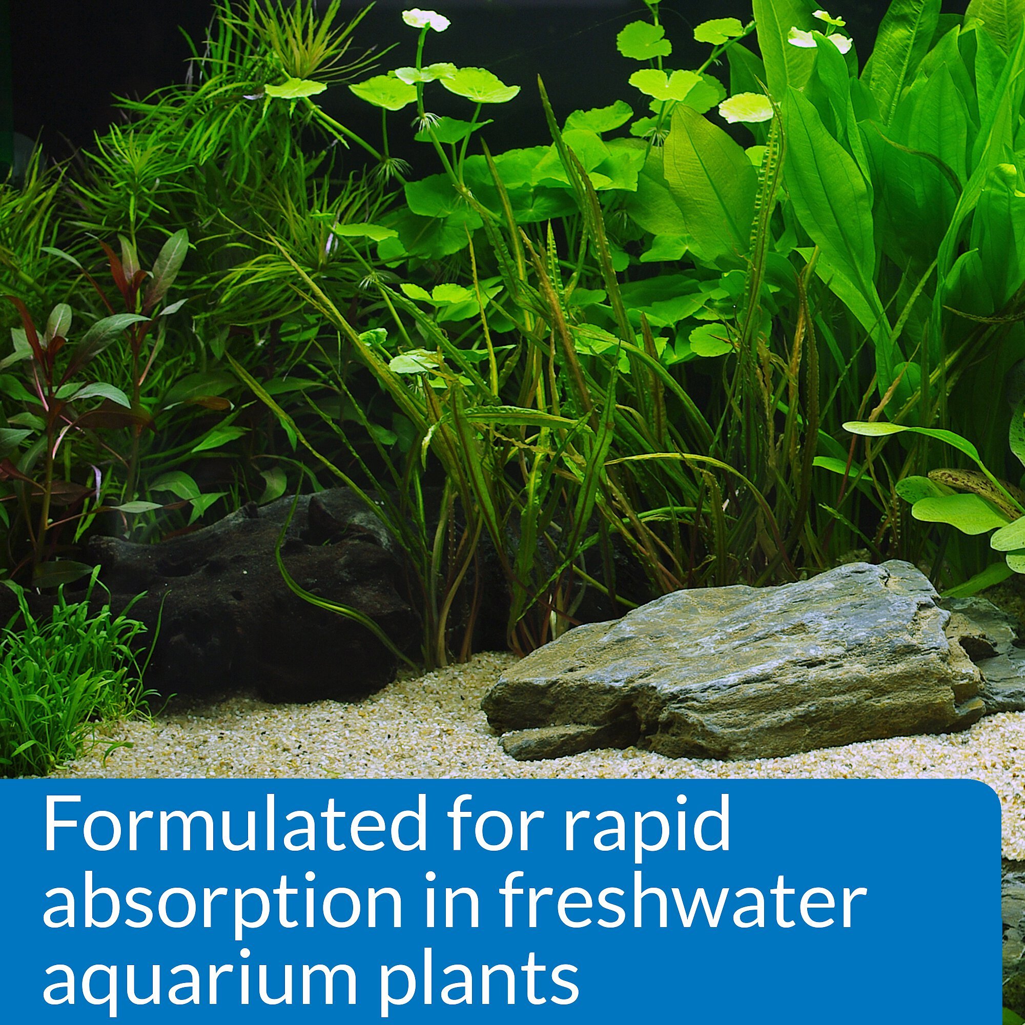 API Leaf Zone Freshwater Aquarium Plant Fertilizer, 16-oz bottle