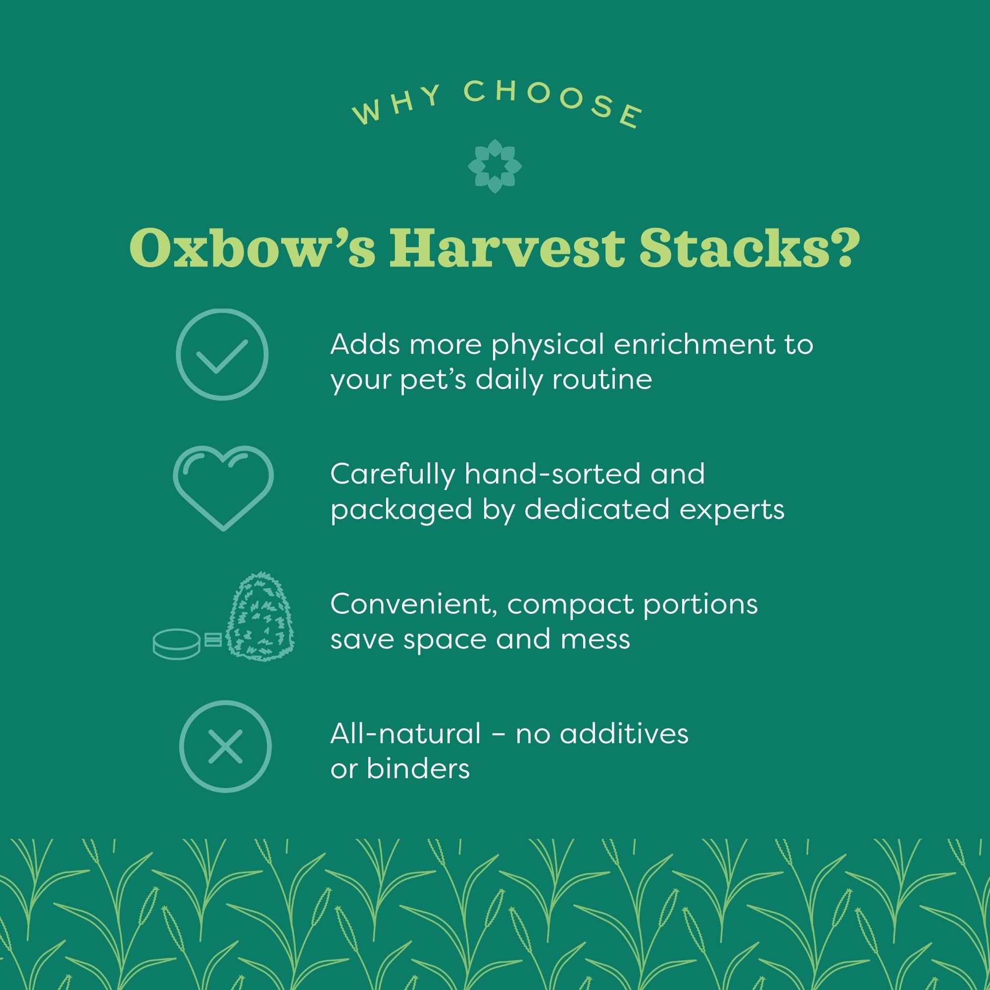 Oxbow Animal Health Harvest Hay Stacks Western Timothy Hay All Natural Hay for Rabbits, Guinea Pigs, Chinchillas, Hamsters & Gerbils, 35-oz. - image 5