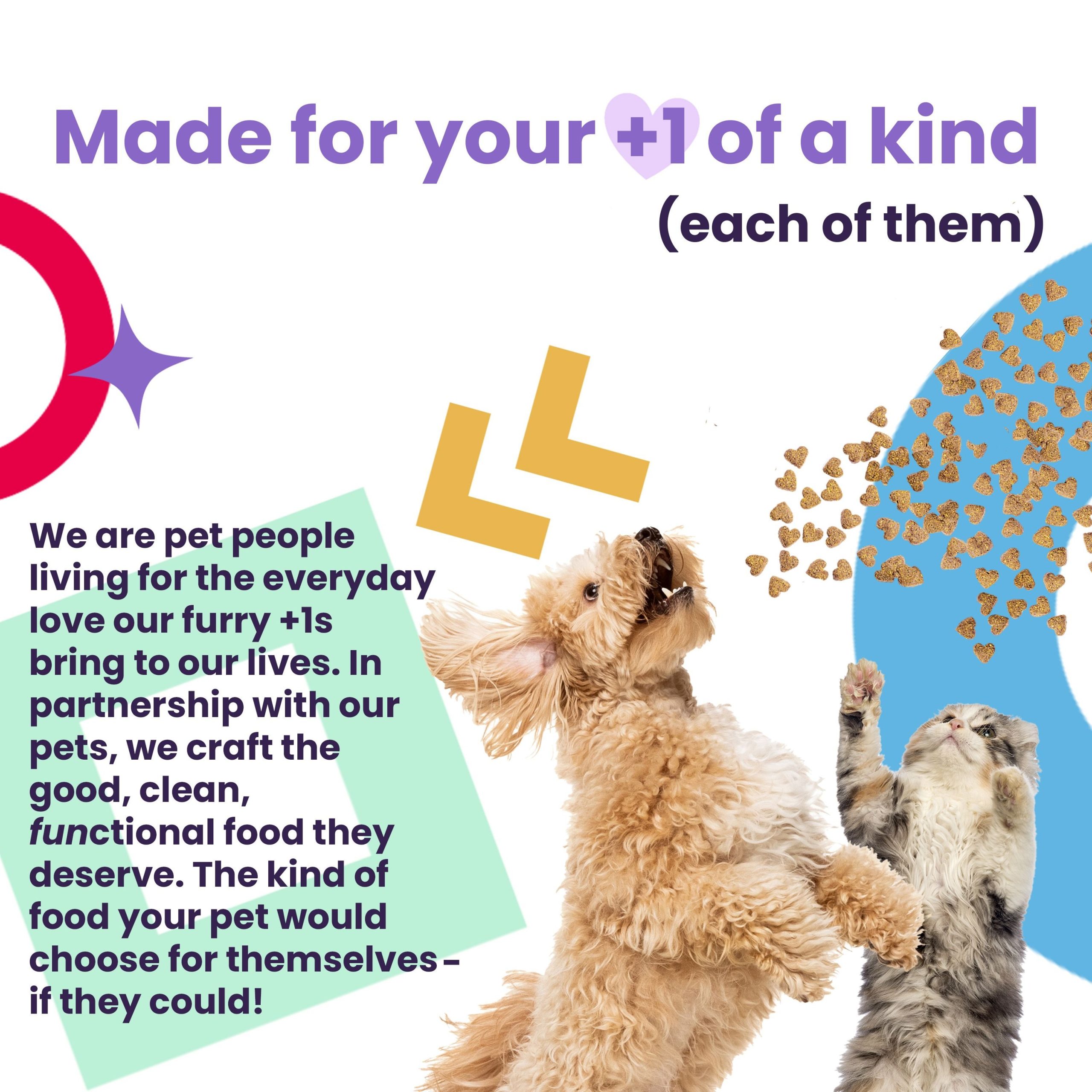 I and Love and You Nice Jerky Bites Beef and Lamb Grain-Free Dog Treats, 4-oz bag - image 5
