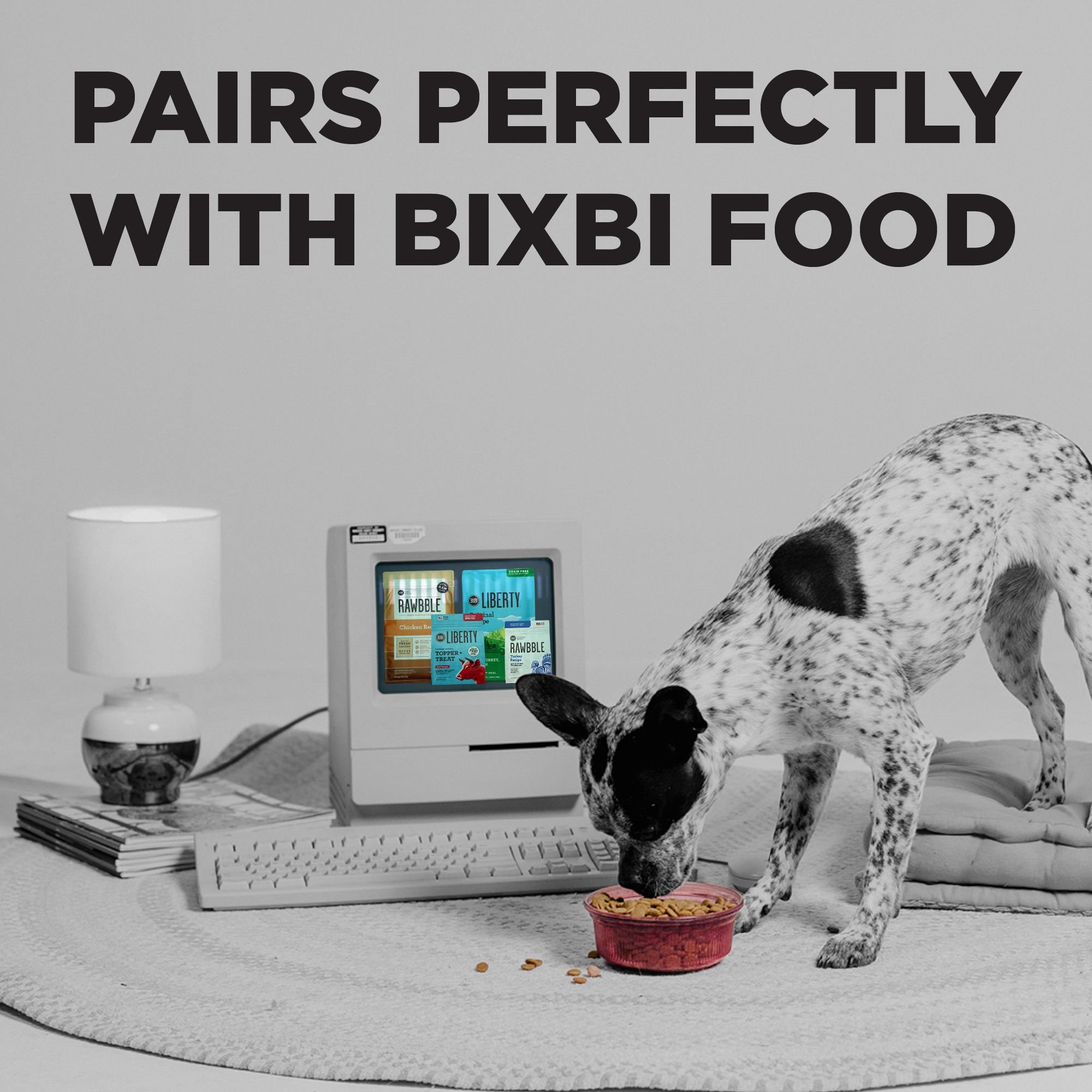 BIXBI Pocket Trainers Peanut Butter Flavor Grain-Free Dog Treats, 6-oz bag