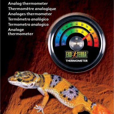 Exo Terra Analog Thermometer for Reptiles