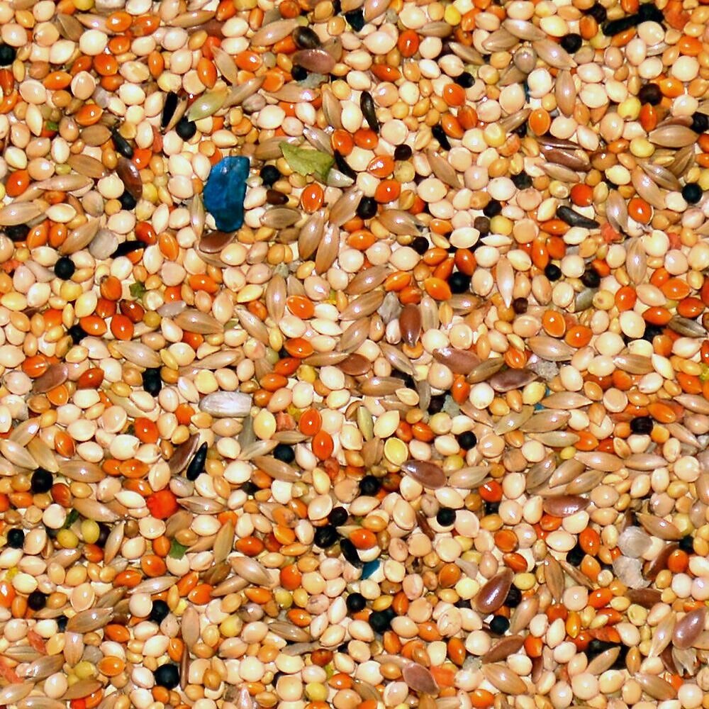 Volkman Avian Science Finch Food, 4-lb bag - image 2