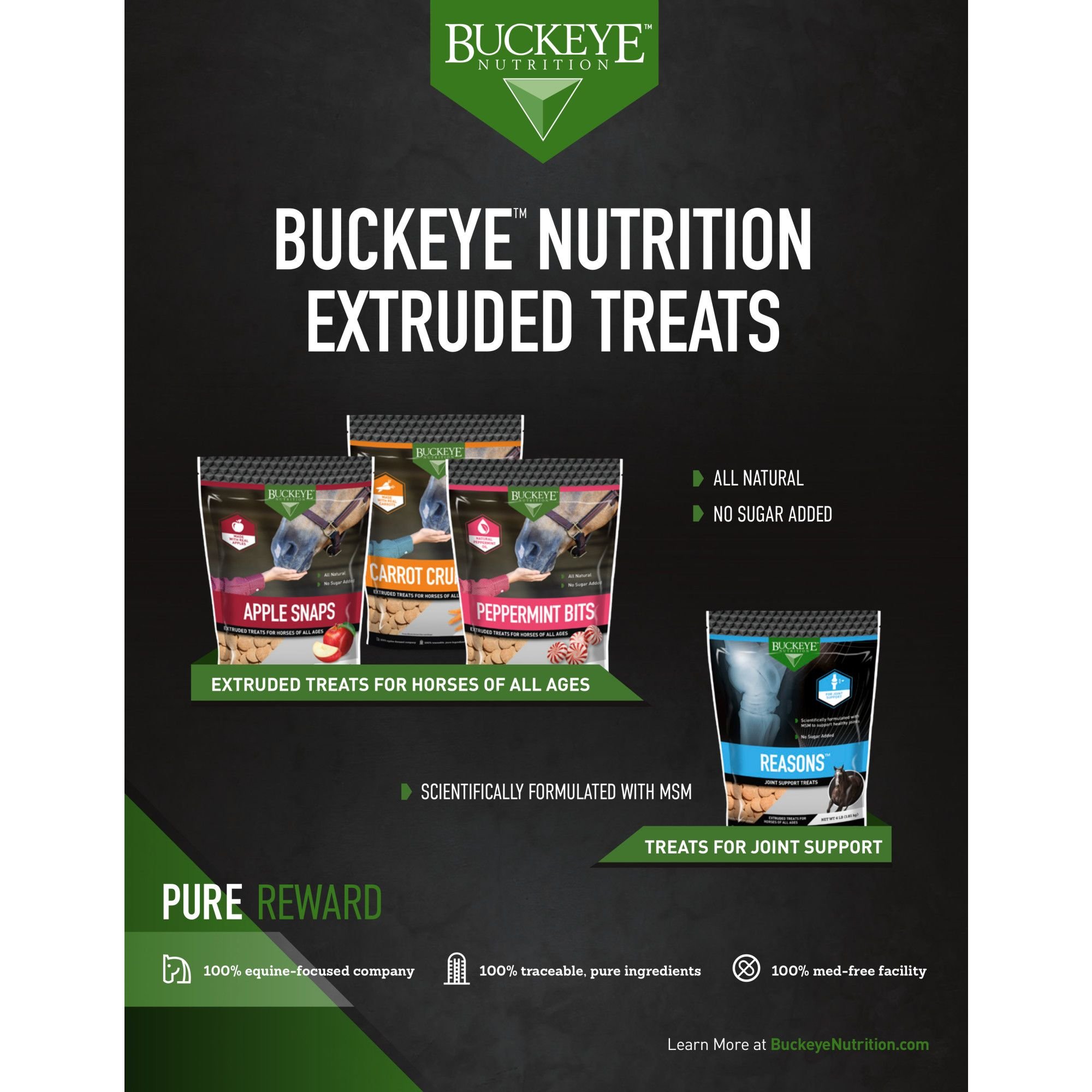 Buckeye Nutrition All-Natural No Sugar Added Apple Snaps Horse Treats, 4-lb bag - image 4