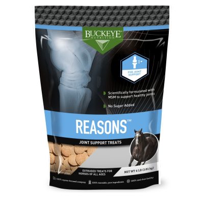 Buckeye Nutrition Reasons No Sugar Added Joint Support Horse Treats, 4-lb bag