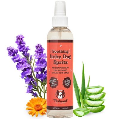 Natural Dog Company Itchy Spritz Dog Deodorizing Spray, 8-fl oz bottle