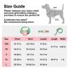 VETRESKA 3-in-1 Flora Dog Backpack & Harness Set, Pink/Green, X-Small: 16 to 21-in chest - image 3