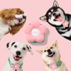 VETRESKA 3-in-1 Flora Dog Backpack & Harness Set, Pink/Green, X-Small: 16 to 21-in chest - image 4
