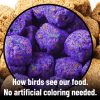 Harrison's Bird Foods High Potency Coarse Organic Pellet Bird Food, 25-lb bag - image 5