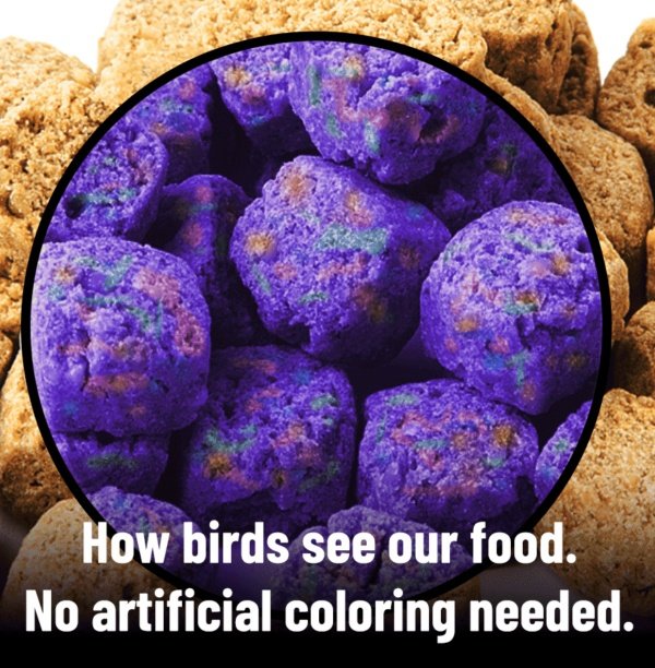 Harrison's Bird Foods High Potency Coarse Organic Pellet Bird Food, 25-lb bag