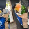 Harrison's Bird Foods Adult Lifetime Coarse Organic Pellet Bird Food, 5-lb bag - image 3