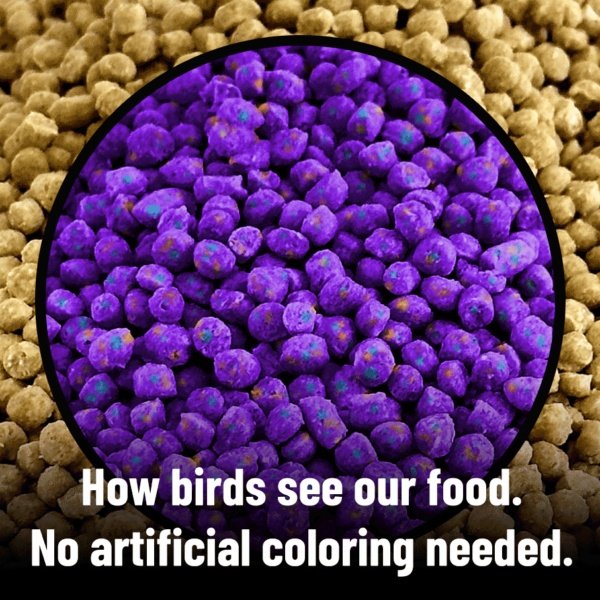 Harrison's Bird Foods High Potency Pepper Organic Pellet Bird Food, 1-lb bag
