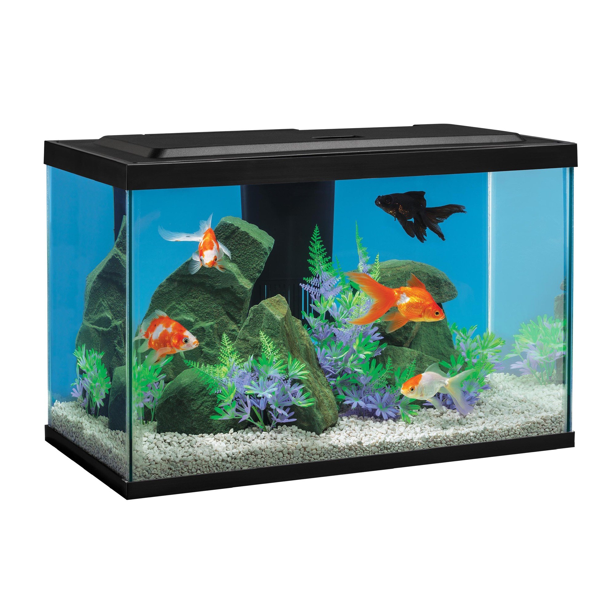 Tetra Complete Goldfish Aquarium Kit with White & Red LED Lighting, 20-gal