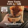Wellness CORE Grain-Free Turkey, Turkey Meal & Duck Formula Natural Dry Cat Food, 11-lb bag - image 4