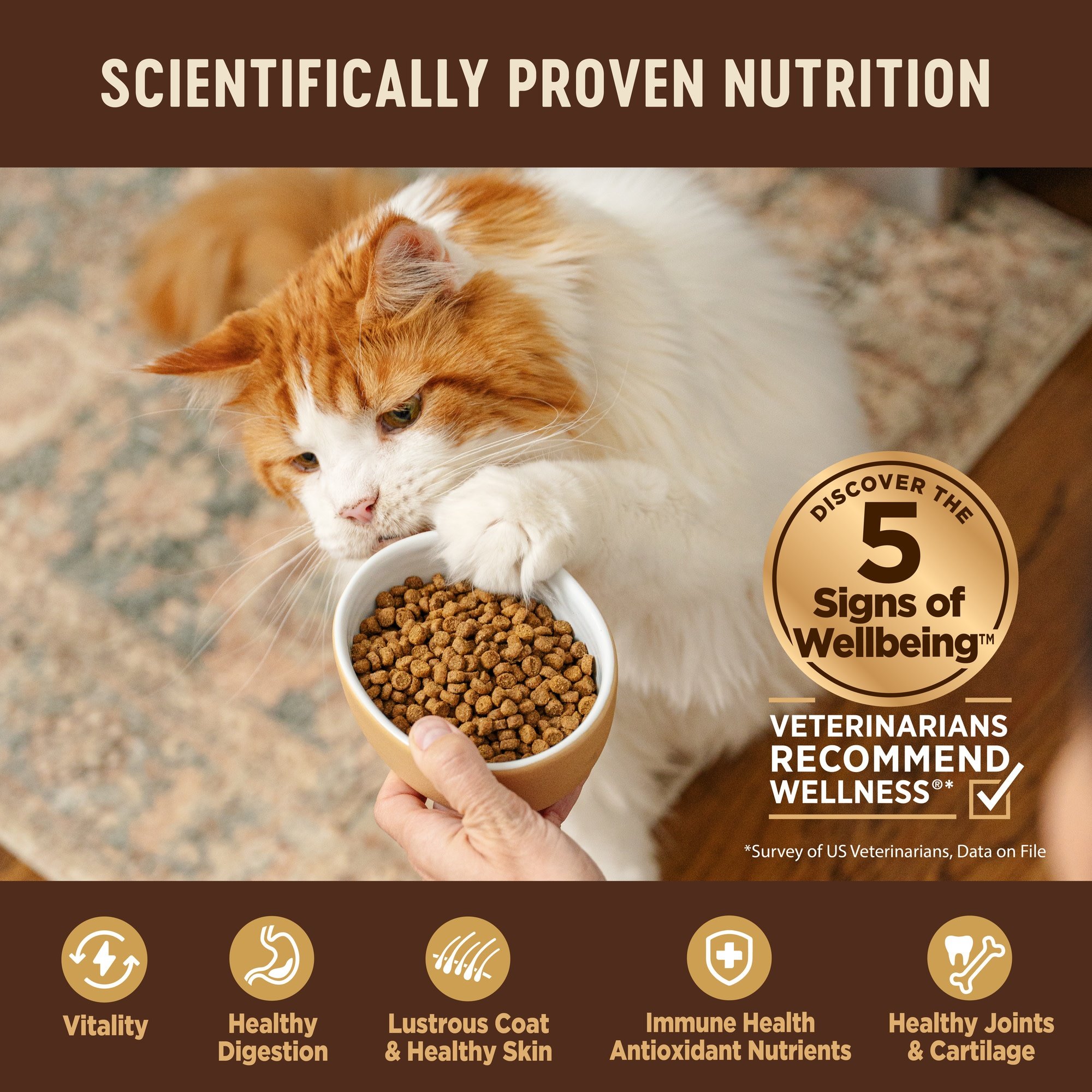 Wellness CORE Grain-Free Turkey, Turkey Meal & Duck Formula Natural Dry Cat Food, 11-lb bag
