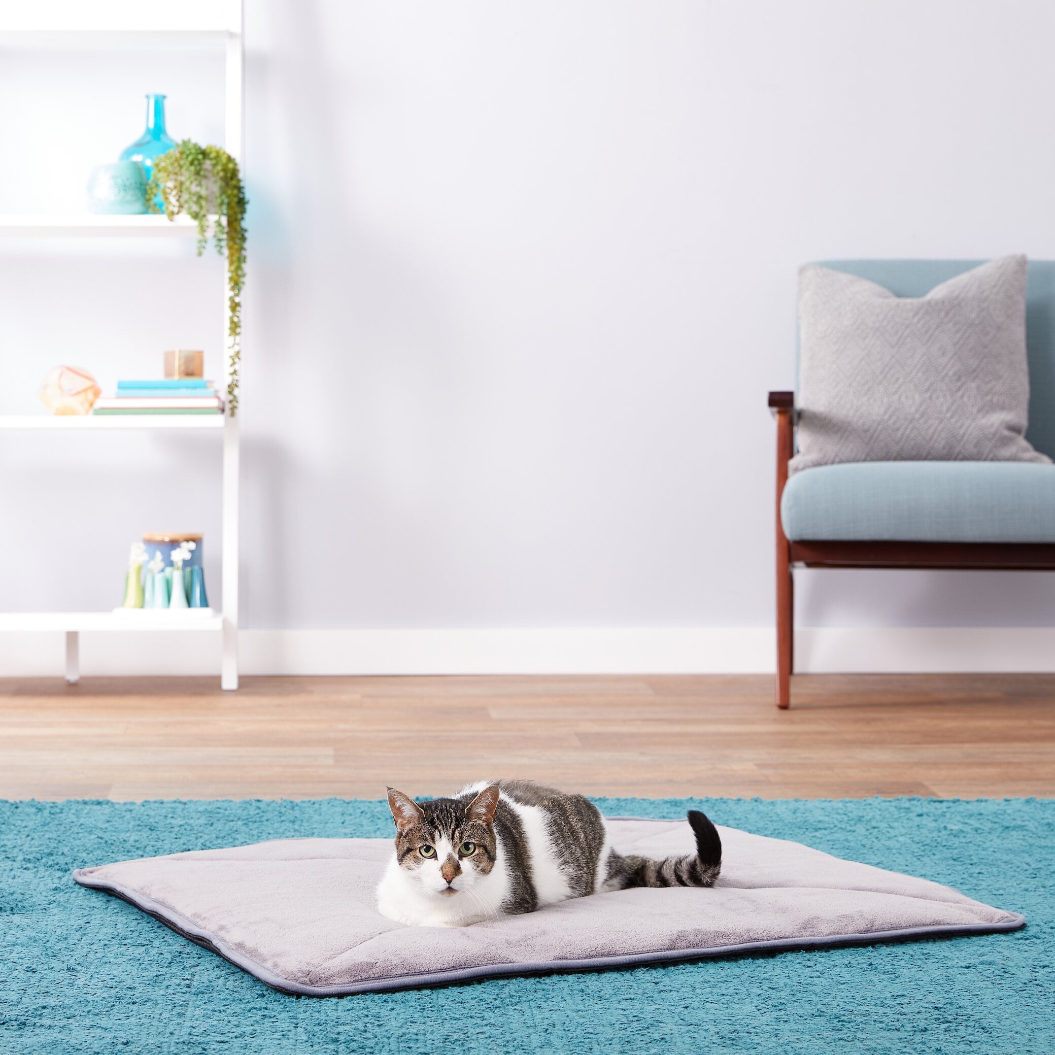 Pet Magasin Thermal Self-Heated Cat Bed, 2-pack, Large Set