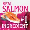 Triumph Free Spirit Jerky Bites Deboned Salmon & Vegetable Dog Treats, 20-oz bag - image 3