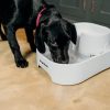 Dog Mate Large Fresh Water Plastic Dog & Cat Fountain, 192-oz - image 4