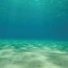Aquatic Creations Static Cling Ocean Floor Aquarium Background, Medium - image 1