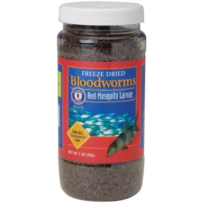 San Francisco Bay Brand Freeze-Dried Bloodworms Fish Treats, 1-oz jar