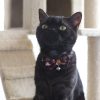Necoichi Japanese Kimono Bow Tie Cotton Breakaway Cat Collar with Bell, Purple, 8.2 to 13.7-in neck, 2/5-in wide - image 4