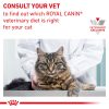 Royal Canin Feline Health Nutrition Variety Pack Wet Kitten Food, 3-oz can, case of 12 - image 3