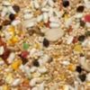Volkman Avian Science Super Cockatiel No Sunflower Bird Food, 20-lb - image 2
