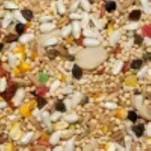 Volkman Avian Science Super Cockatiel No Sunflower Bird Food, 20-lb