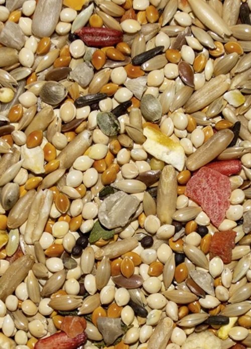 Volkman Avian Science Super Parakeet Bird Food, 20-lb