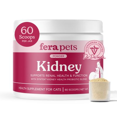 Fera Pets Kidney Support Powder with Probiotics & Antioxidants, Renal Supplement for Cats, 2.1-oz jar