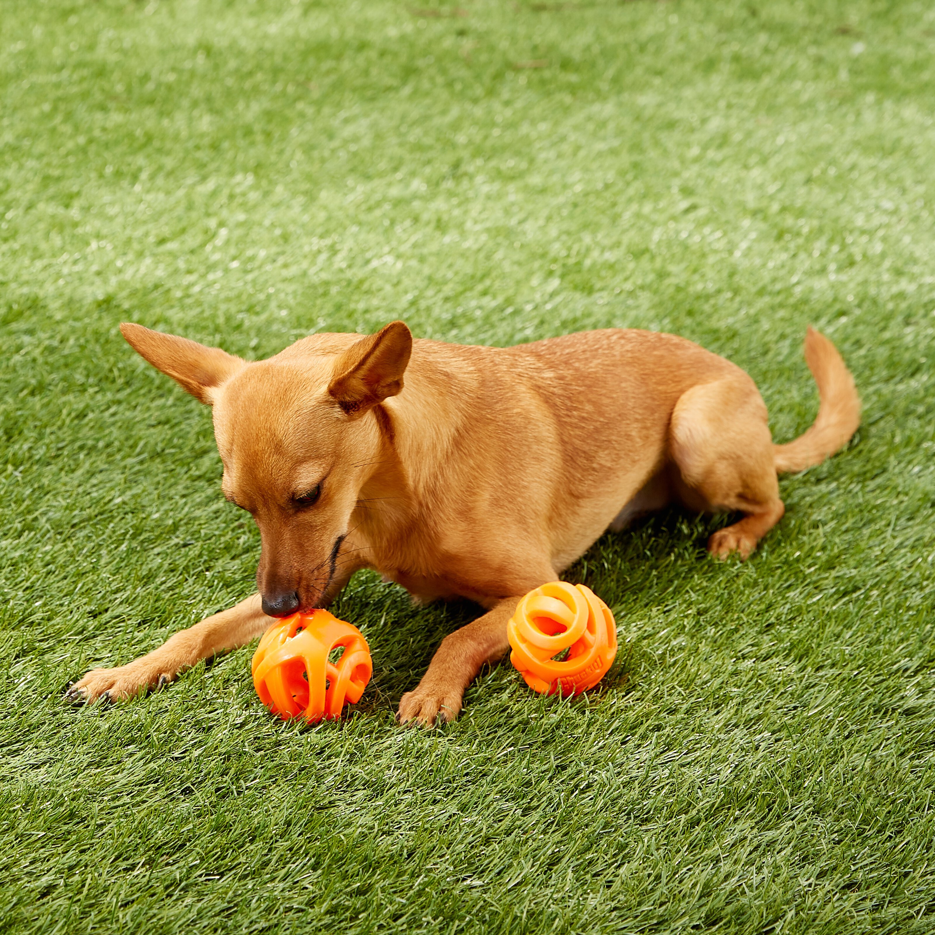 Chuckit! Air Fetch Ball 2-Pack Dog Toy, Medium