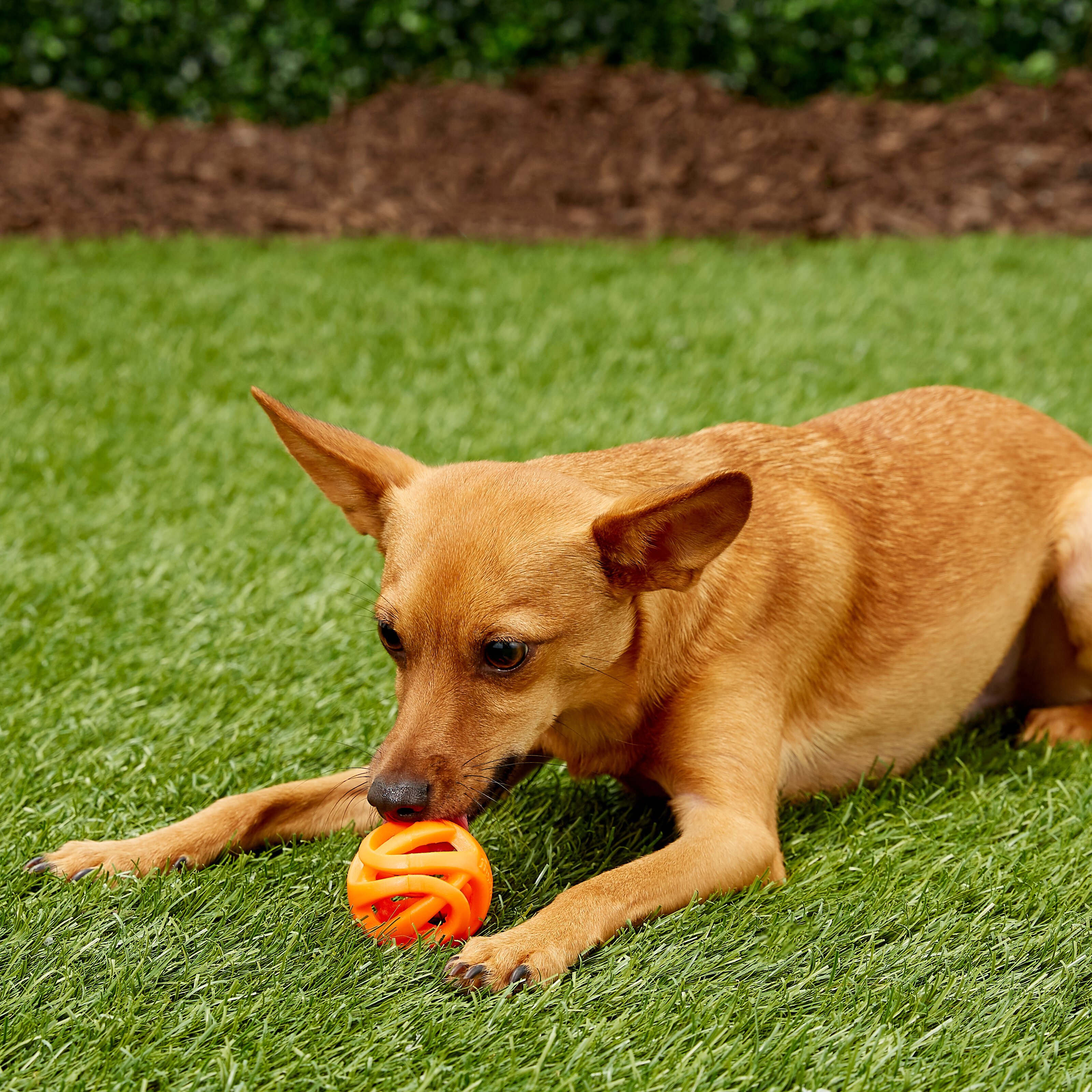 Chuckit! Air Fetch Ball 2-Pack Dog Toy, Small
