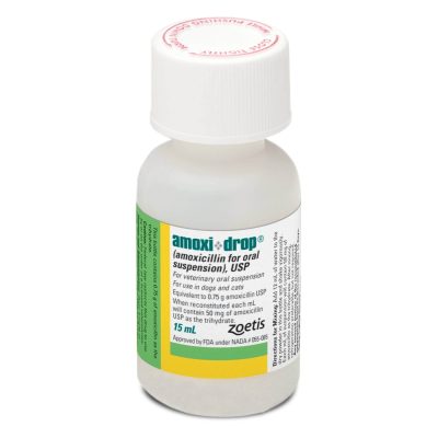Amoxi-Drop (Amoxicillin) Powder for Oral Suspension for Dogs & Cats, 50-mg/mL, 15-mL