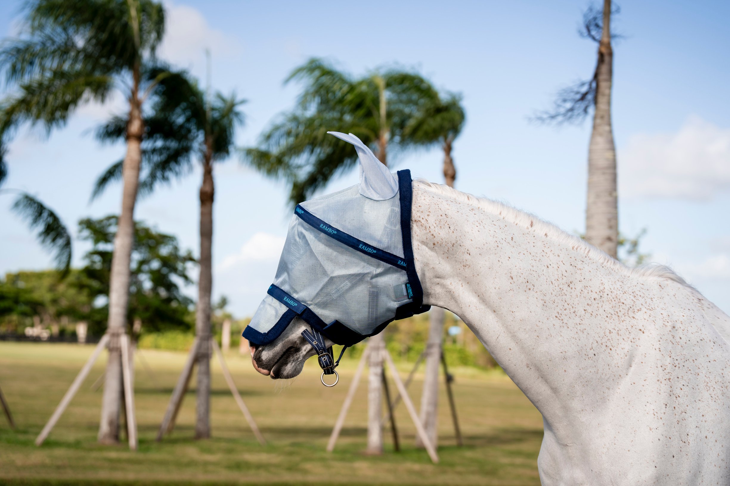 Horseware Rambo Horse Fly Mask, Azure Blue with Navy & Electric Blue, Small Pony