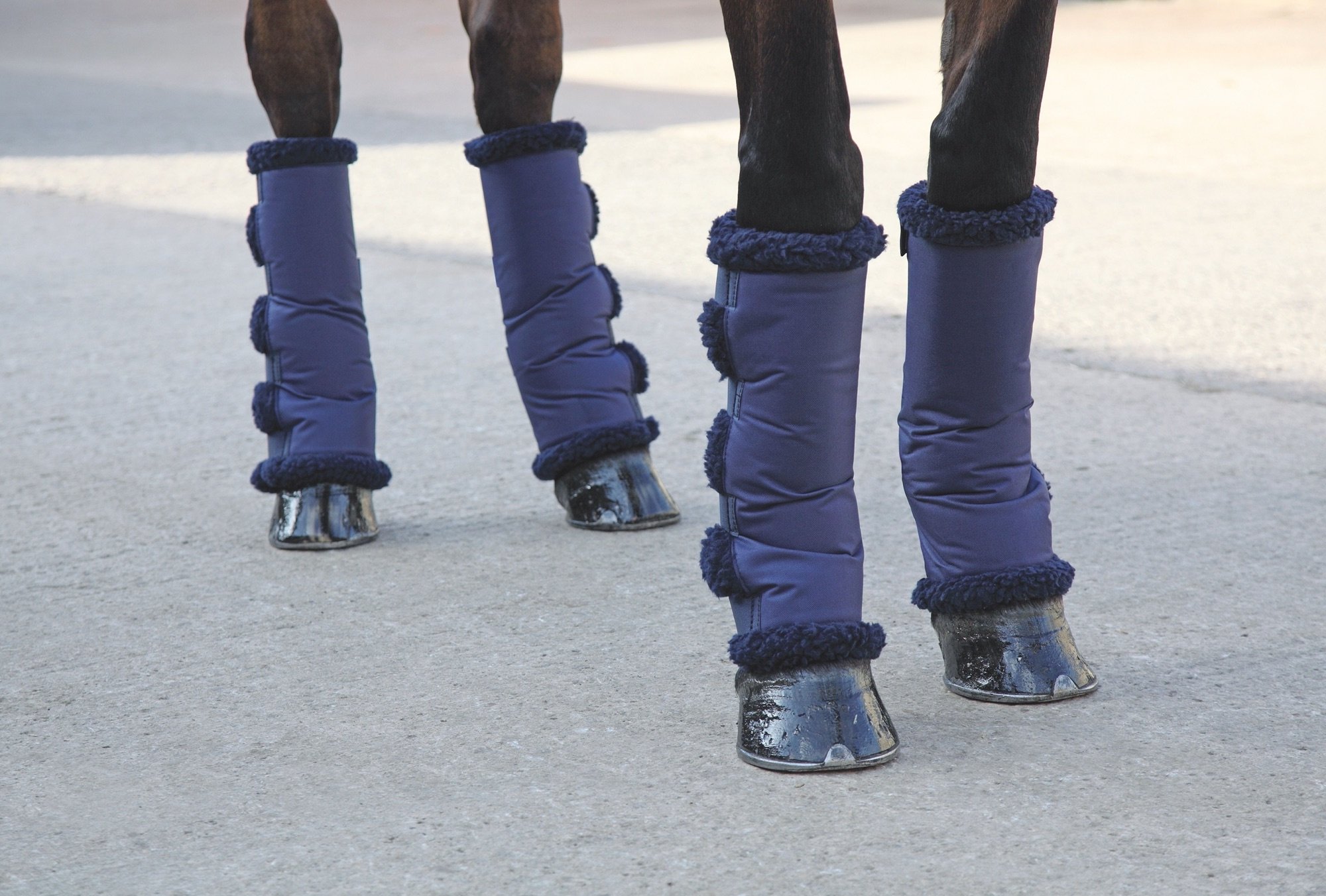 Shires Equestrian Products ARMA Short Fleece Lined Travel Horse Boots, Navy, Navy, Pony