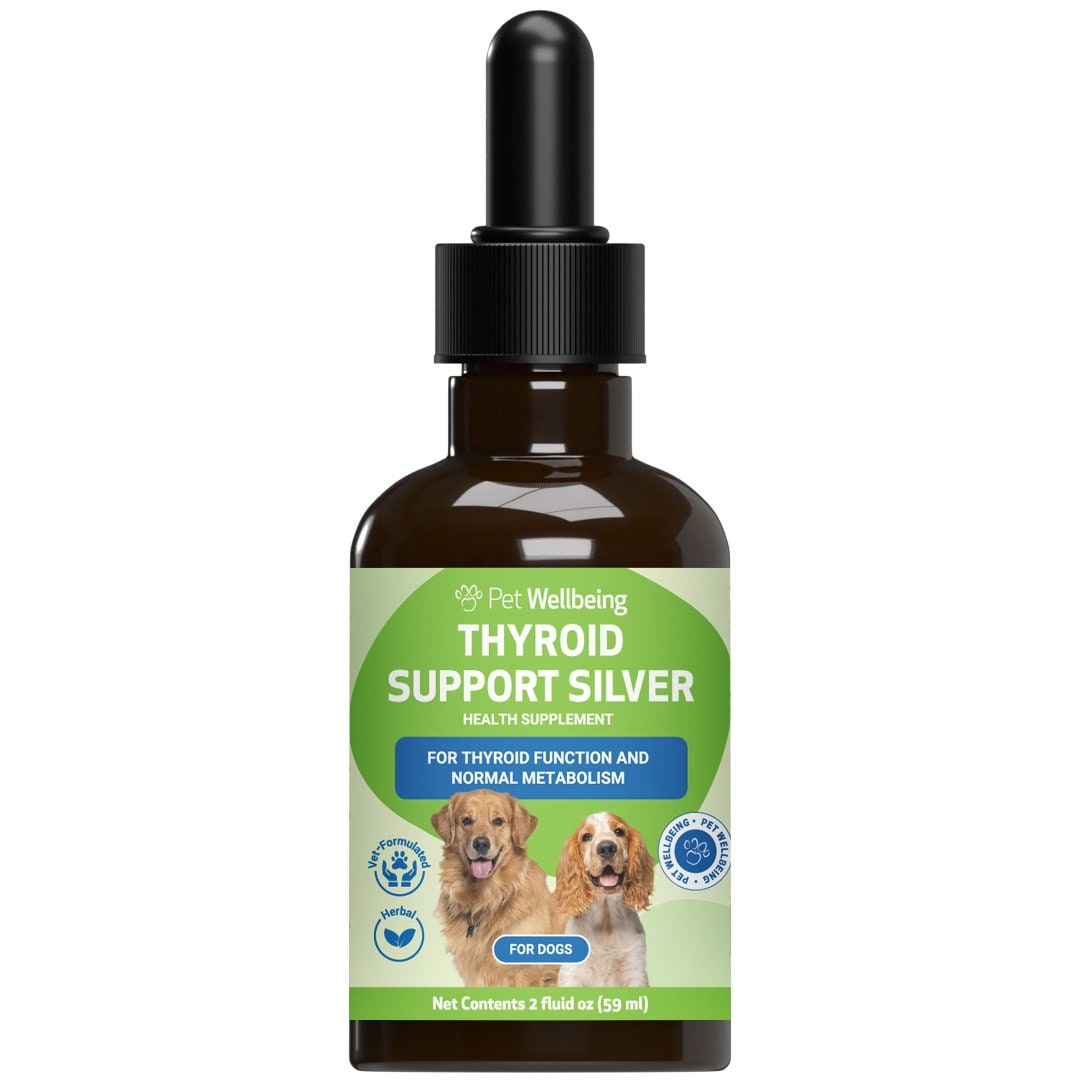 Pet Wellbeing Thyroid Support SILVER Bacon Flavored Liquid Supplement for Dogs, 2-oz bottle