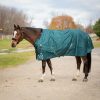 Equinavia Arktis Regular Neck Midweight 200-g Horse Turnout Blanket, Deep Green, 66-in - image 2