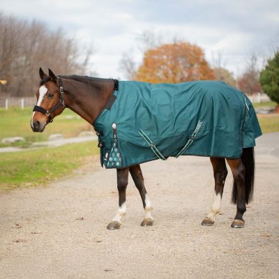 Equinavia Arktis Regular Neck Midweight 200-g Horse Turnout Blanket, Deep Green, 66-in