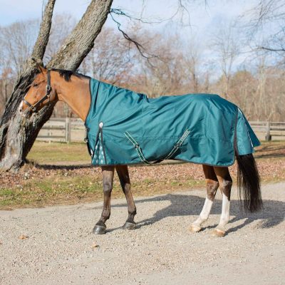 Equinavia Arktis Extended Neck Midweight 200-g Horse Turnout Blanket, Deep Green, 84-in