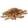 Zoo Med Can O' Superworms Extra Large Mealworms Reptile Food, 1.2-oz can - image 4