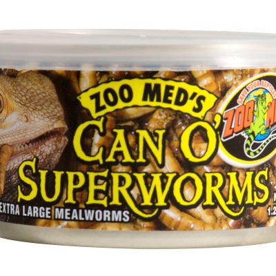 Zoo Med Can O' Superworms Extra Large Mealworms Reptile Food, 1.2-oz can