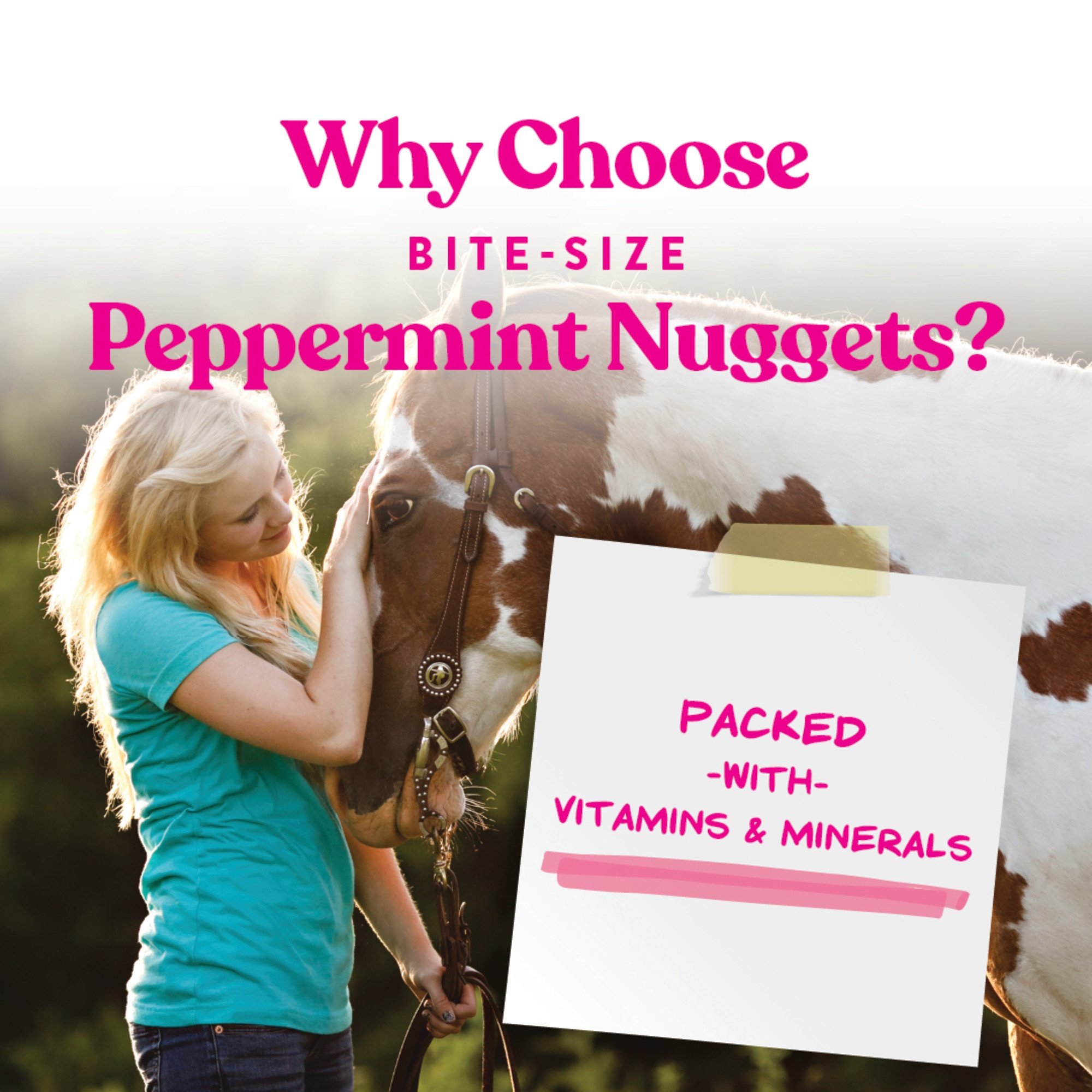 Manna Pro Bite-Size Nuggets Peppermint Flavored Horse Training Treats, 1-lb bag