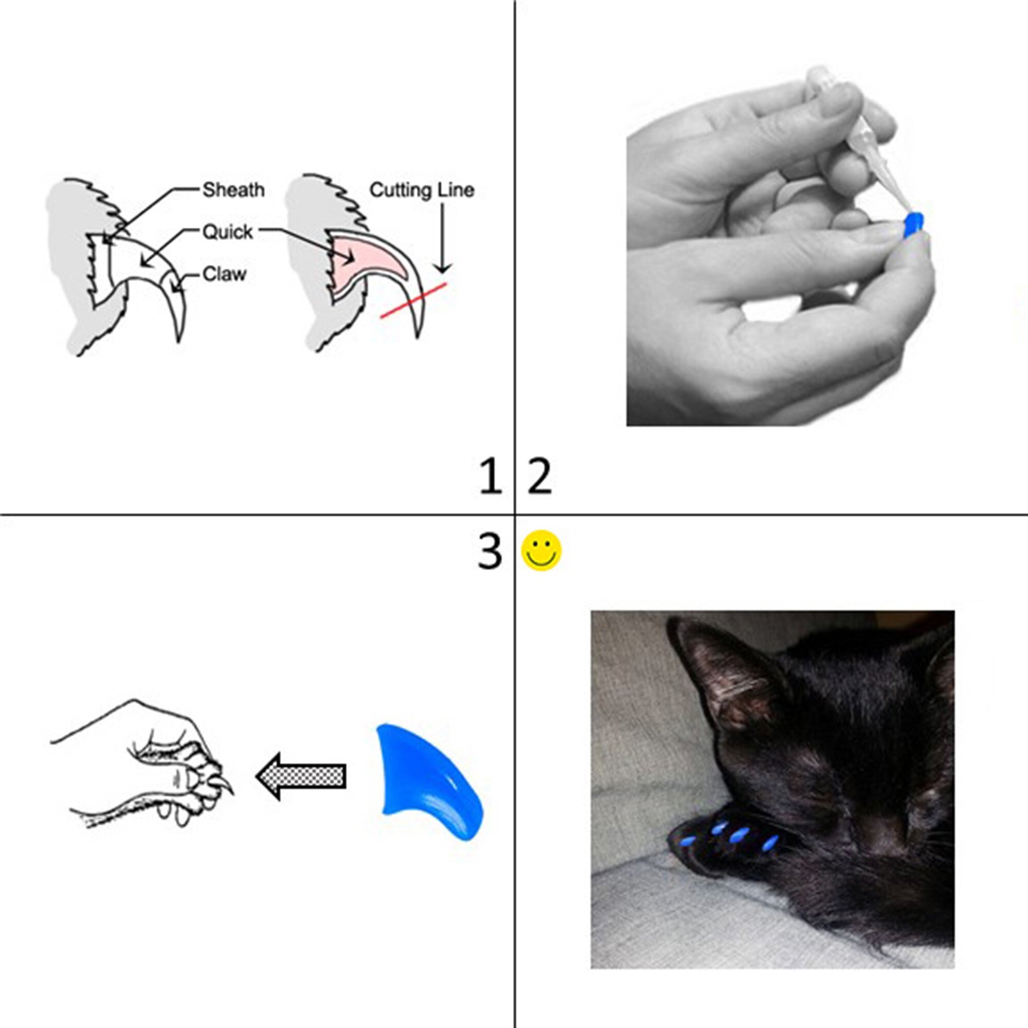 Purrdy Paws Soft Cat Nail Caps, 20 count, Blue Glow in the Dark, Medium