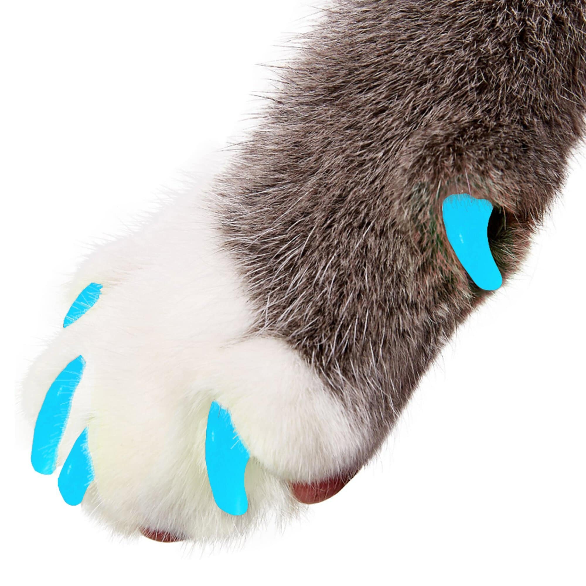 Purrdy Paws Soft Cat Nail Caps, 20 count, Blue Glow in the Dark, Medium