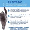 CatWater pH Balanced Urinary Support Cat Water, 16.9-fl oz, 12 count - image 4