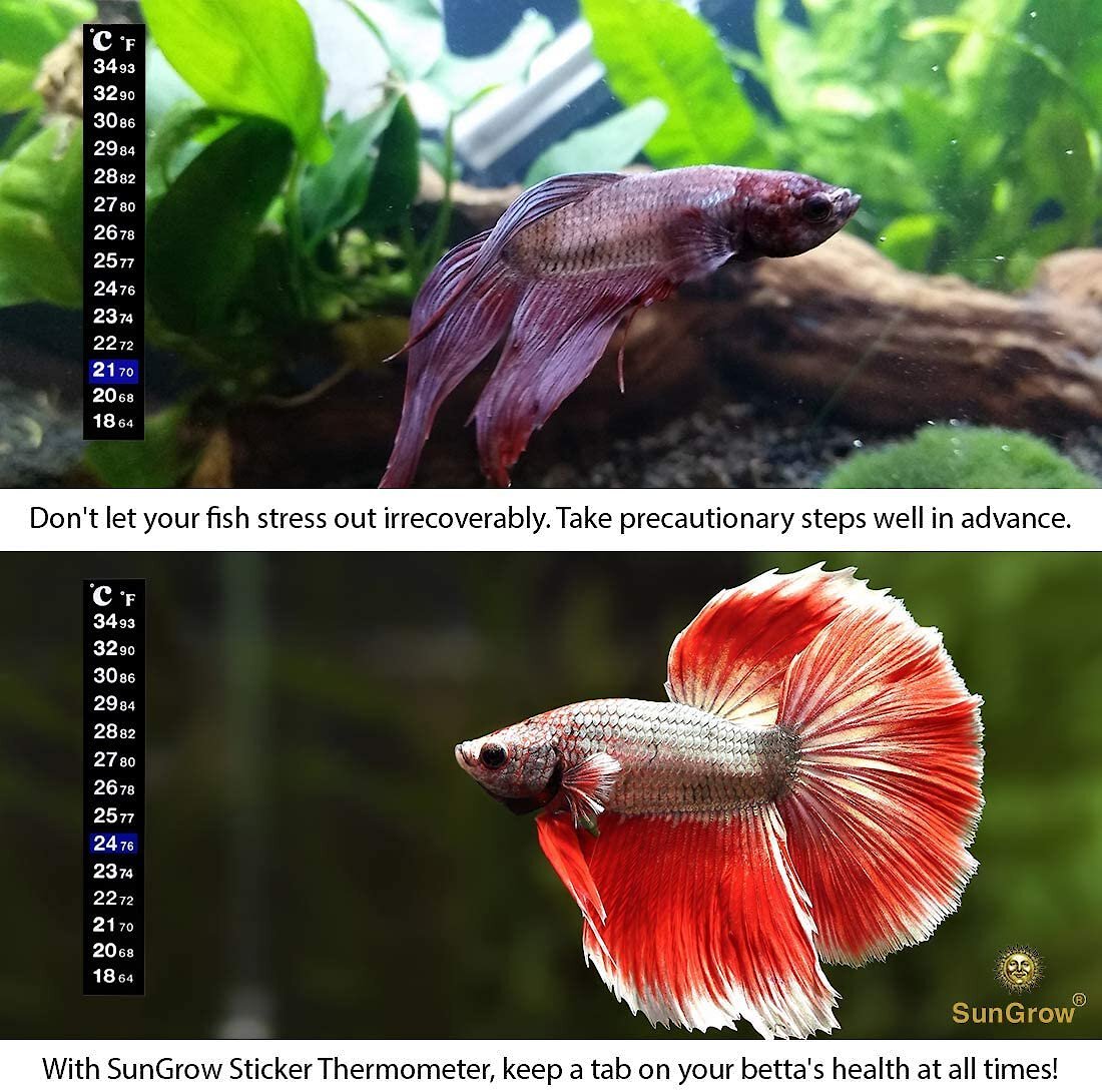 SunGrow Betta Fish Thermometer Sticker, Temperature Strip for Small Aquarium & Reptiles Tank